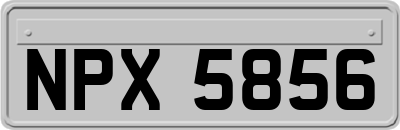 NPX5856