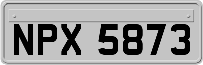 NPX5873