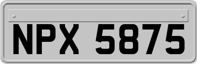 NPX5875