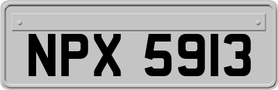 NPX5913