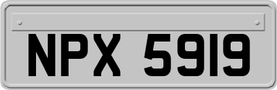 NPX5919
