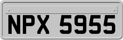 NPX5955