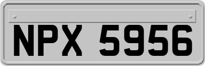 NPX5956
