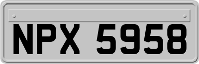 NPX5958