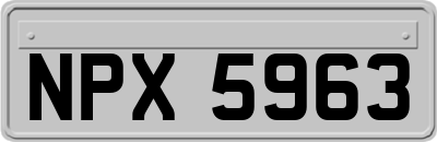 NPX5963