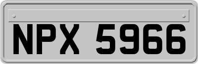NPX5966