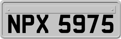 NPX5975
