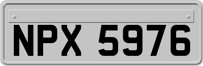 NPX5976
