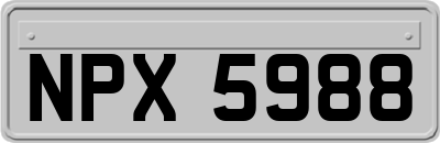 NPX5988