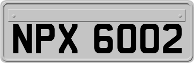 NPX6002