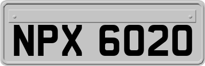 NPX6020