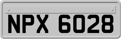 NPX6028