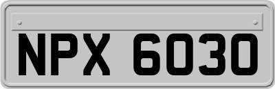 NPX6030