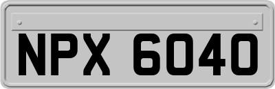 NPX6040