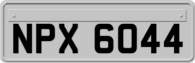 NPX6044