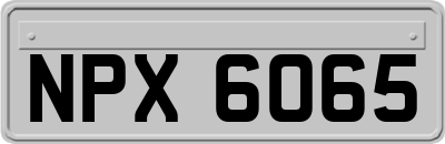 NPX6065