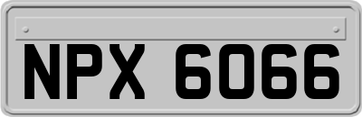 NPX6066