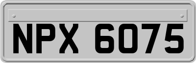 NPX6075