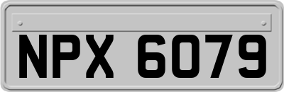 NPX6079