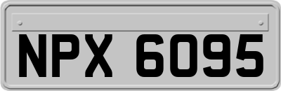 NPX6095