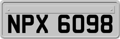 NPX6098