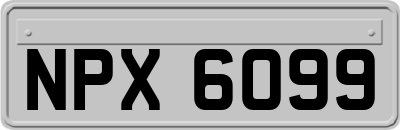 NPX6099