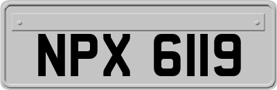 NPX6119