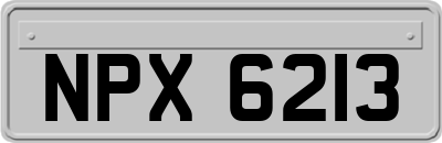 NPX6213