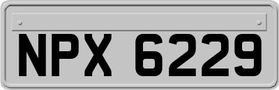NPX6229