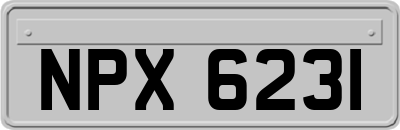 NPX6231
