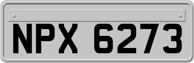 NPX6273