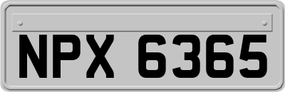 NPX6365