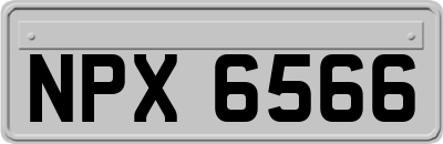 NPX6566