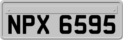 NPX6595
