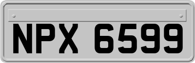 NPX6599