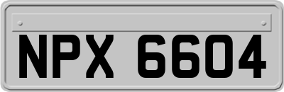 NPX6604