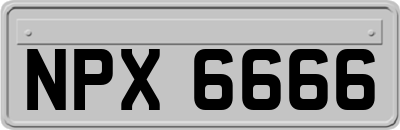 NPX6666