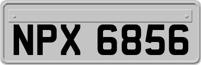 NPX6856