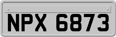 NPX6873