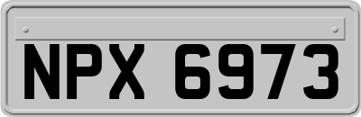 NPX6973