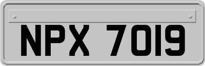NPX7019