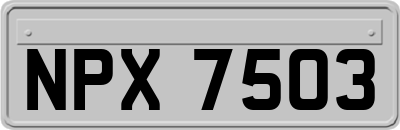NPX7503