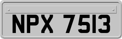 NPX7513