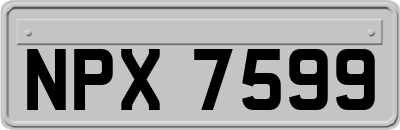 NPX7599