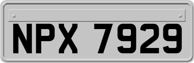 NPX7929