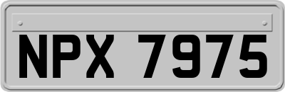 NPX7975