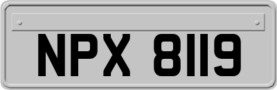 NPX8119