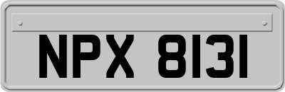 NPX8131
