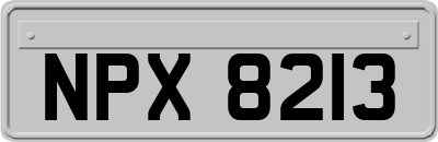 NPX8213