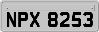 NPX8253